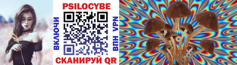 Галлюциногенные грибы мицелий  Абаза 